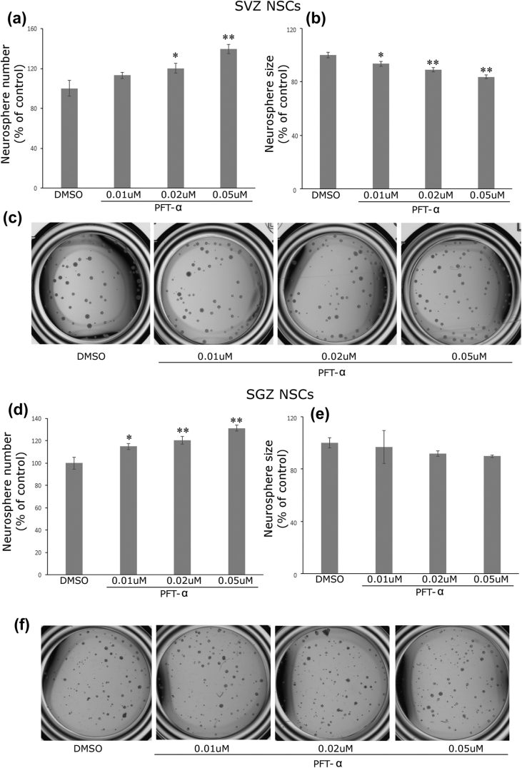 publication2.jpg
